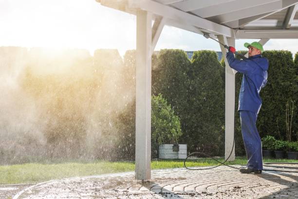 Best Gutter Cleaning and Brightening in Philippi, WV